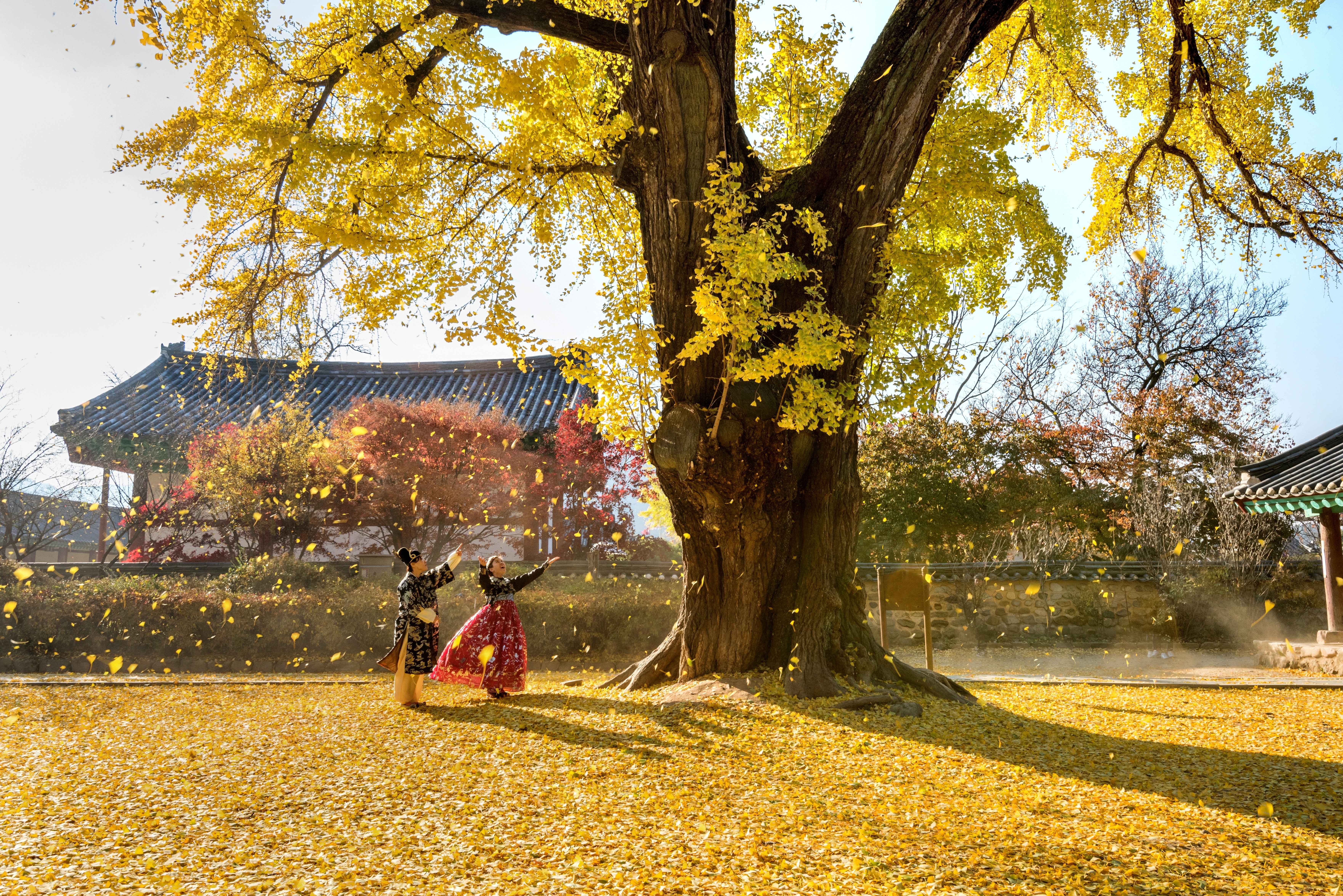 Jeonju gallery 19